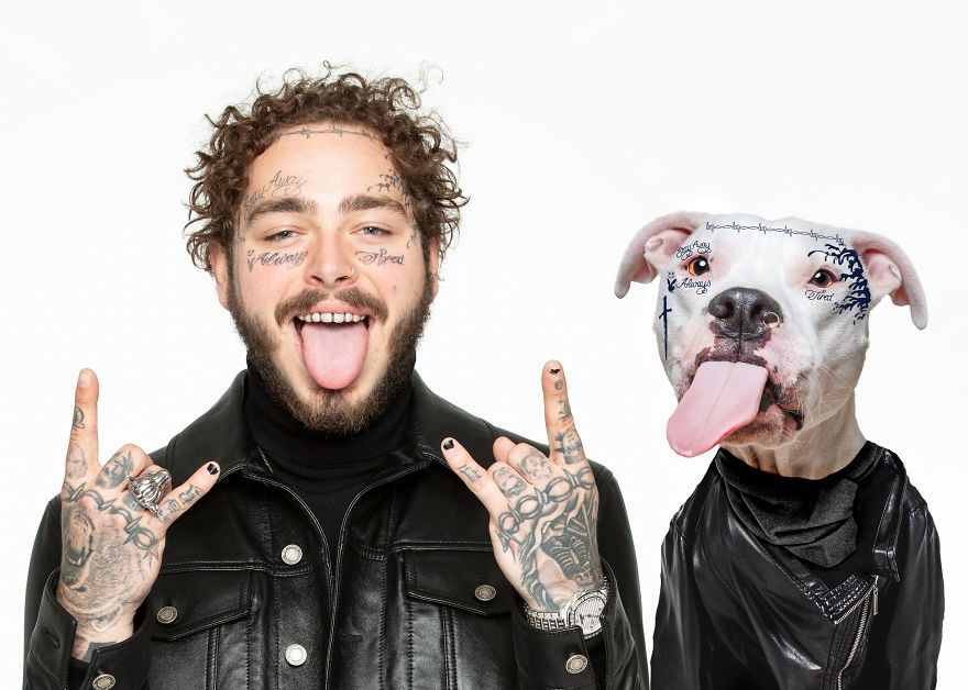 Philly Photographer Summons Post Malone For Adoptable Dog Photoshoot In A Wild Way!
