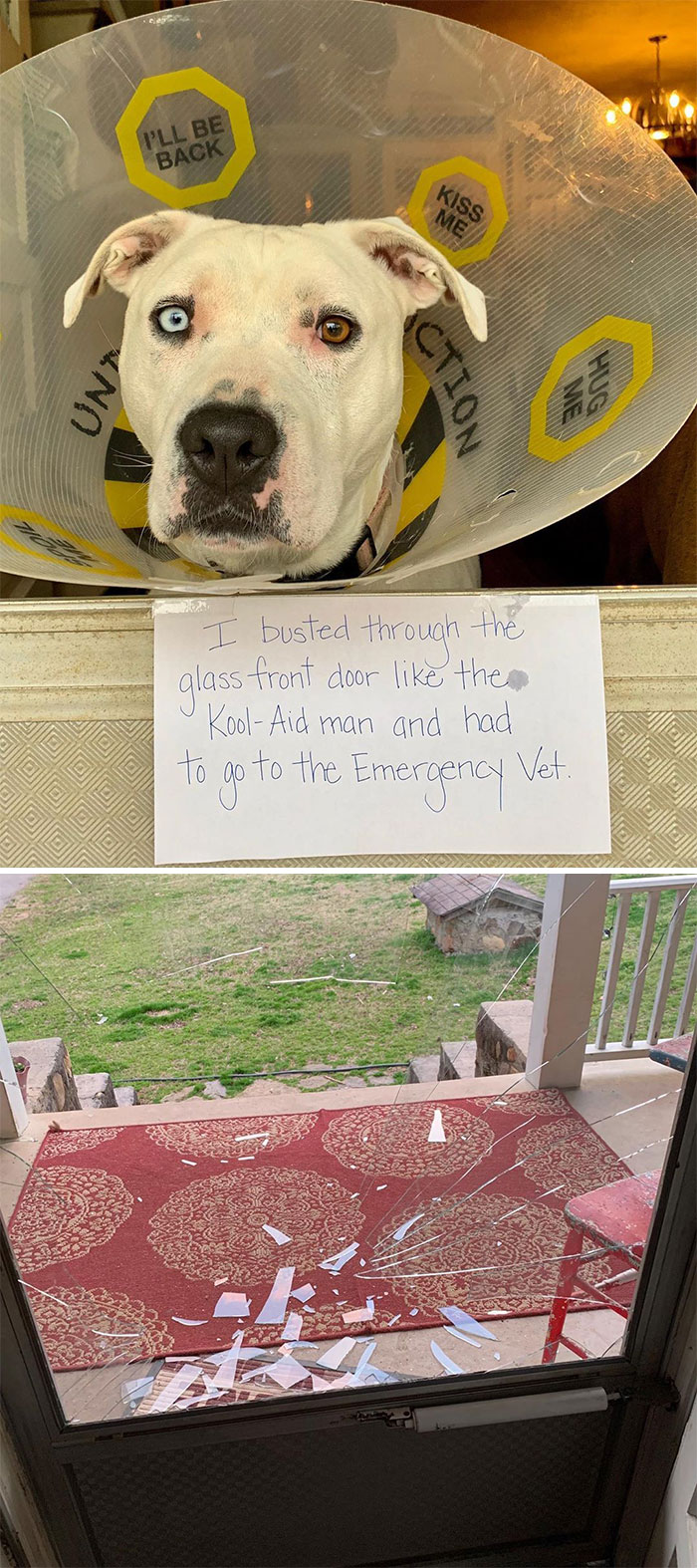 Eleven Busted Through The Glass Front Door Like The Kool-Aid Man