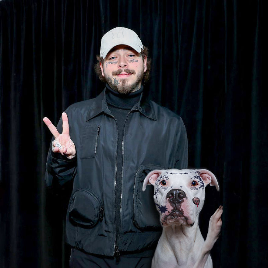 Philly Photographer Summons Post Malone For Adoptable Dog Photoshoot In A Wild Way! Philly Photographer Summons Post Malone For Adoptable Dog Photoshoot In A Wild Way!