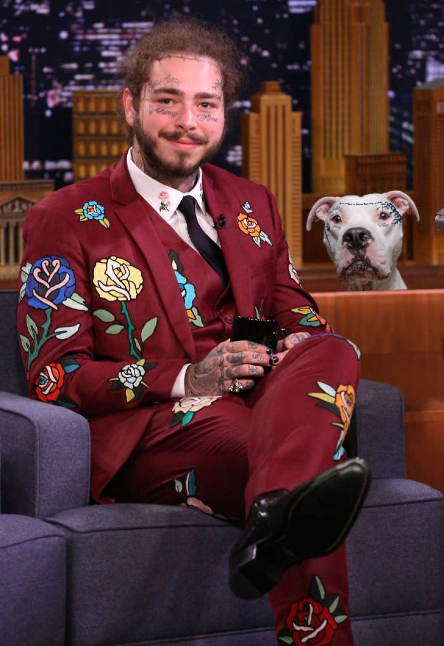 Philly Photographer Summons Post Malone For Adoptable Dog Photoshoot In A Wild Way!