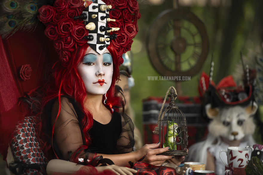 Here Are My 30 Pics Of My Alice In Wonderland Photoshoot Which Took 6 Months To Make