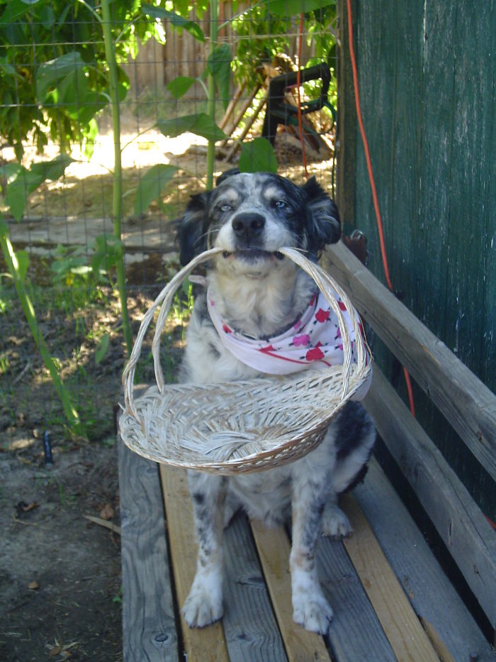 His Face Says It All. . .