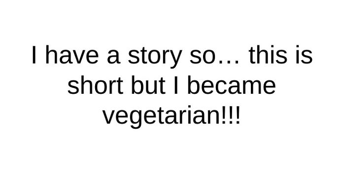 I'm An Animal Lover Ok??? This Is Lame Just Read It.