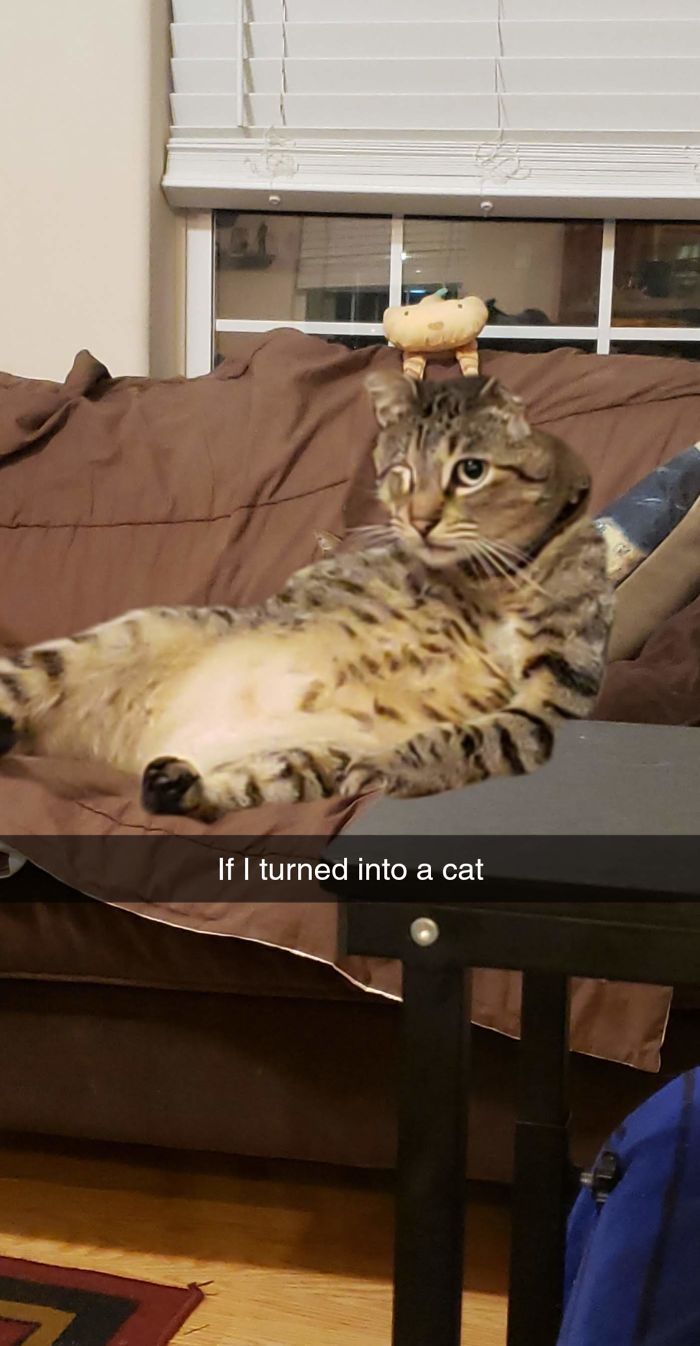 Caption Speaks For Itself.