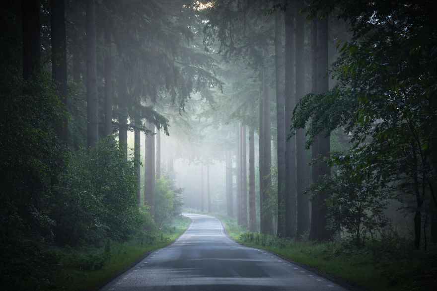 I Photographed The Same Forest For 7 Years During All Seasons