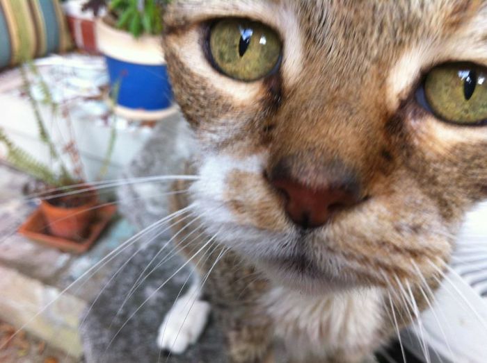 What Are You Doing? 18 Year-Old Susie Wants To Help