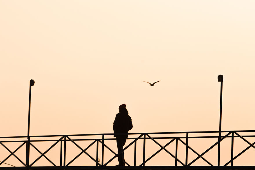 I Created A Virtual Photography Exhibition "Secret" During Quarantine