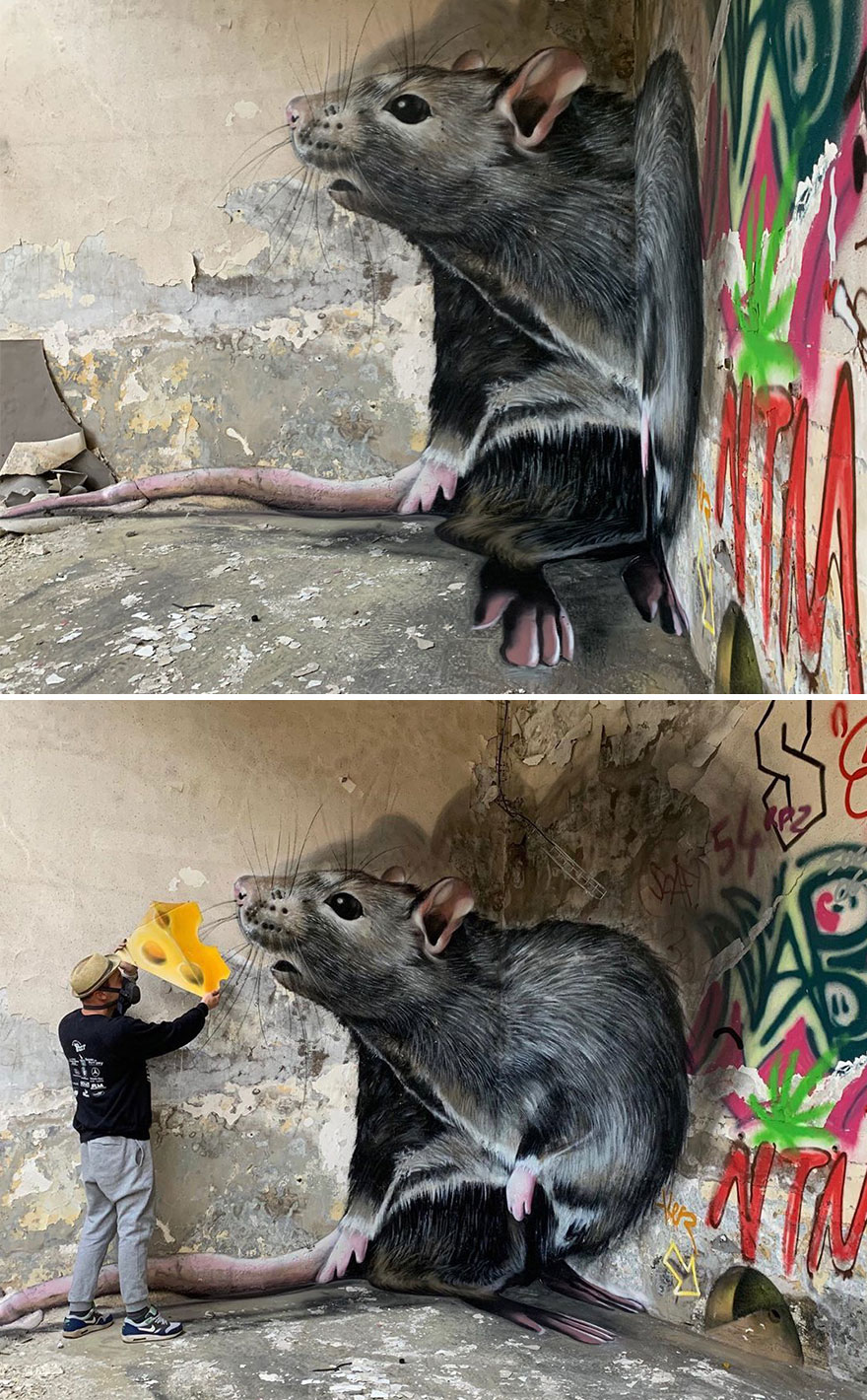 The Graffiti Of This French Street Artist Seems To Come Alive And Come Off The Walls