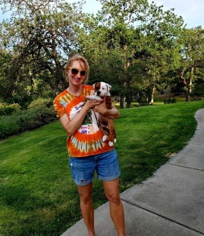 The Sad Goodbye Between Cat And Puppy Best Friends After Puppy Finds Forever Home The Sad Goodbye Between Cat And Puppy Best Friends After Puppy Finds Forever Home