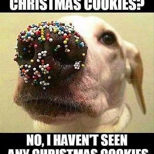 semirareeves12345 avatar