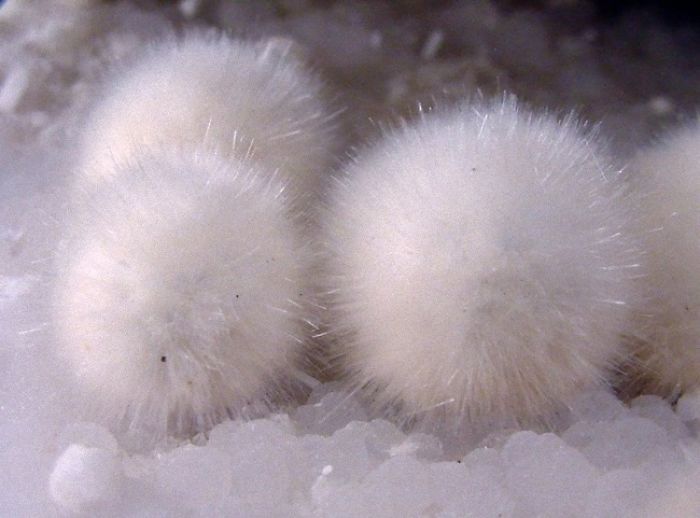 This Is A Mineral Called Okenite And It Often Looks Like Cotton Balls