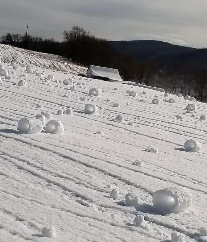 These Are Snowbales Caused By Snow And The Ideal Wind Conditions Causing The Snow To Roll Creating These Cylindrical Sculptures