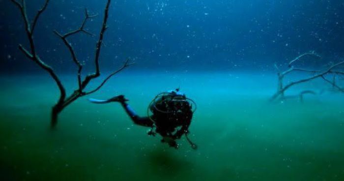 Believe It Or Not This Diver Is Swimming In A Cenote (Similar To A Sinkhole), Which Is Fresh Water Yet Below Him Is A Salt Water Lake. You Can’t Swim In The Lake Part Because It Is Seperated By Halocline Which Is Poisonous