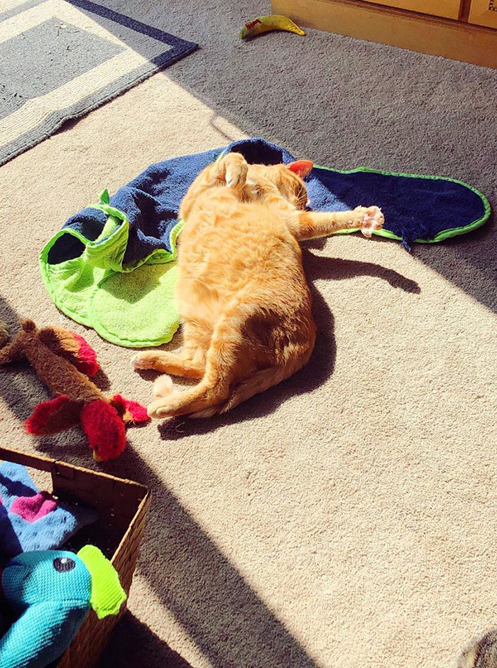 Over dramatic me? Never!