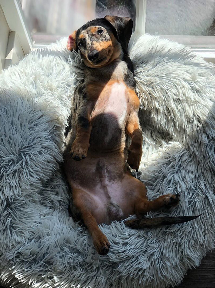 MISTER STEAL YOUR GIRL