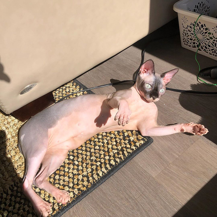 20 degrees & sunny, quick grab my bathing suit