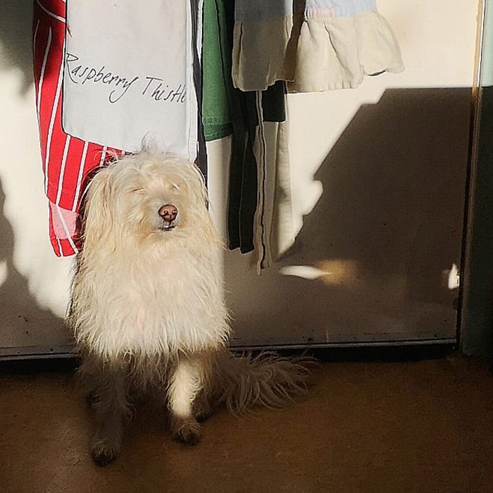 Finding all the sun spots to bask in