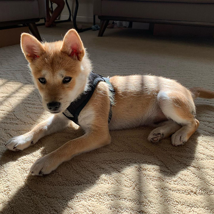 Sun basking and nearly naked