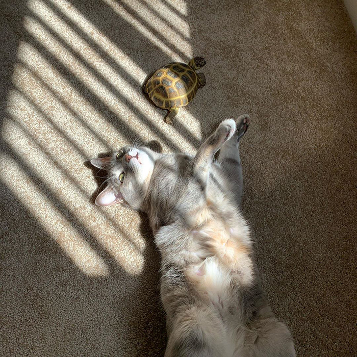 Enjoying some sun with Roshi! 