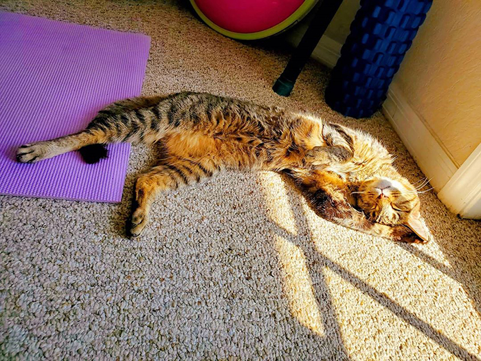 Basking in the sun. This is the life