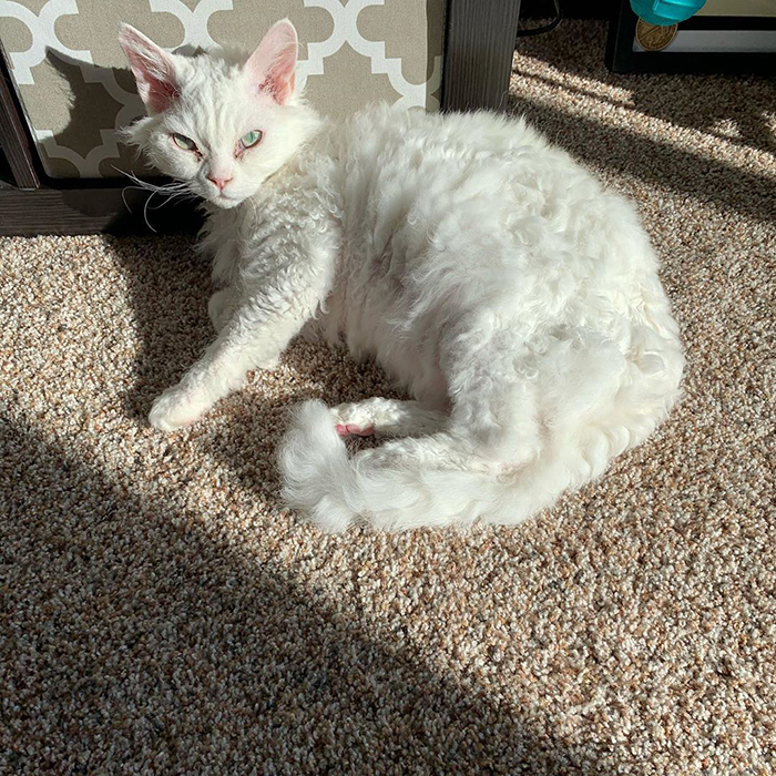 Listen, i know i’m cute and all but if you could leave and stop taking pictures of me while i’m sunbathing that’d be great