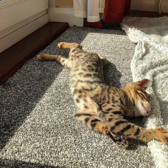 I could get used to this