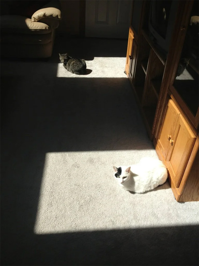 Sun spots