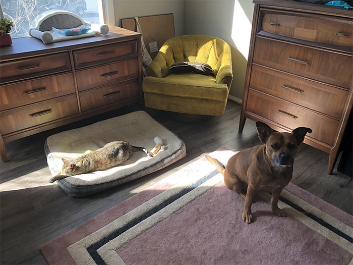 “Mommyyy... Minnie took the sun spot...”