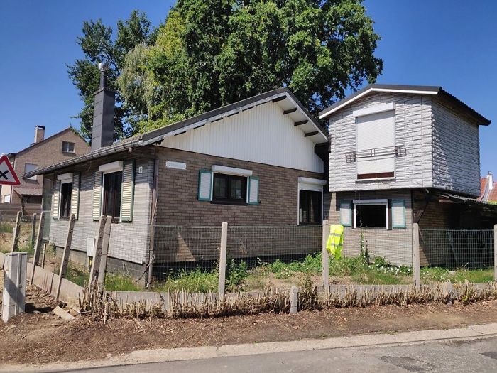 Omg They Are Breeding