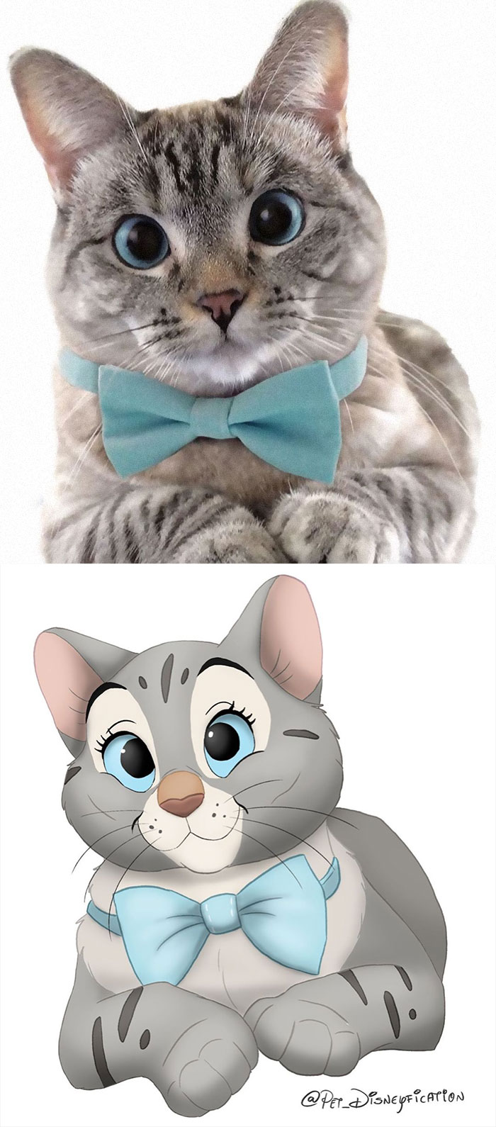 Artist-Turns-Pets-Disney-Characters-Pet-Disneyfication