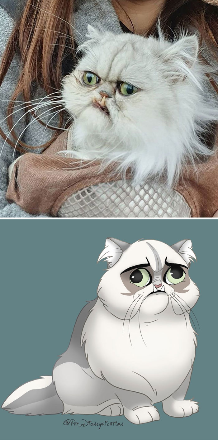 Artist-Turns-Pets-Disney-Characters-Pet-Disneyfication