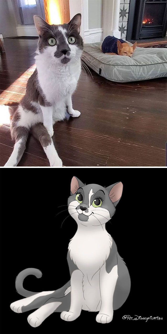 Artist-Turns-Pets-Disney-Characters-Pet-Disneyfication