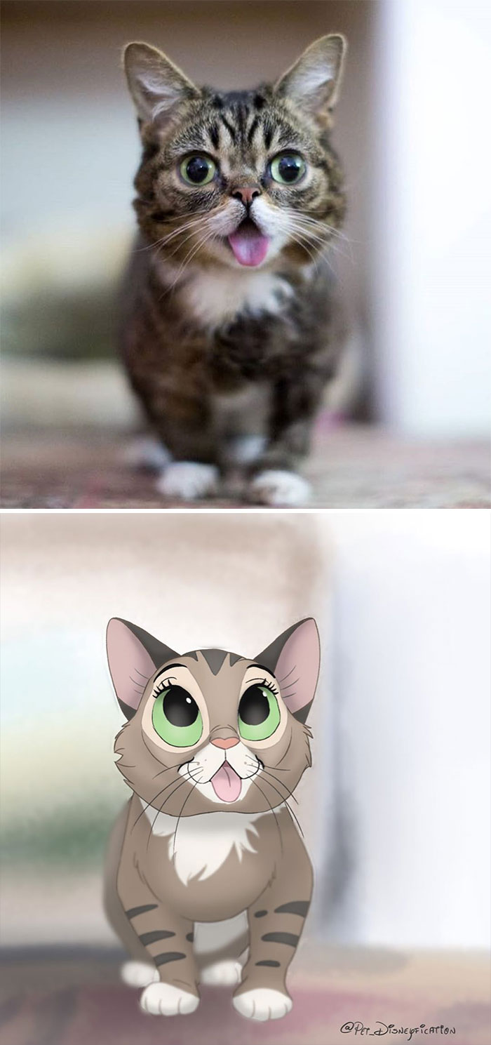 Artist-Turns-Pets-Disney-Characters-Pet-Disneyfication