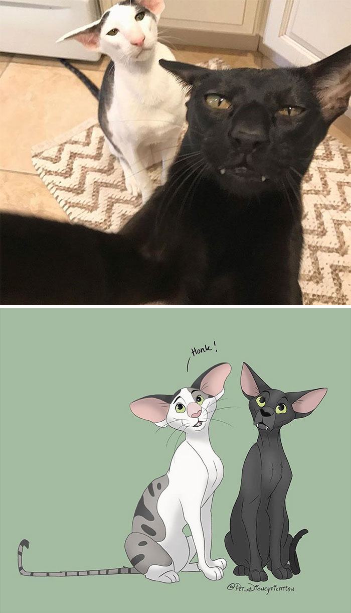 Artist-Turns-Pets-Disney-Characters-Pet-Disneyfication