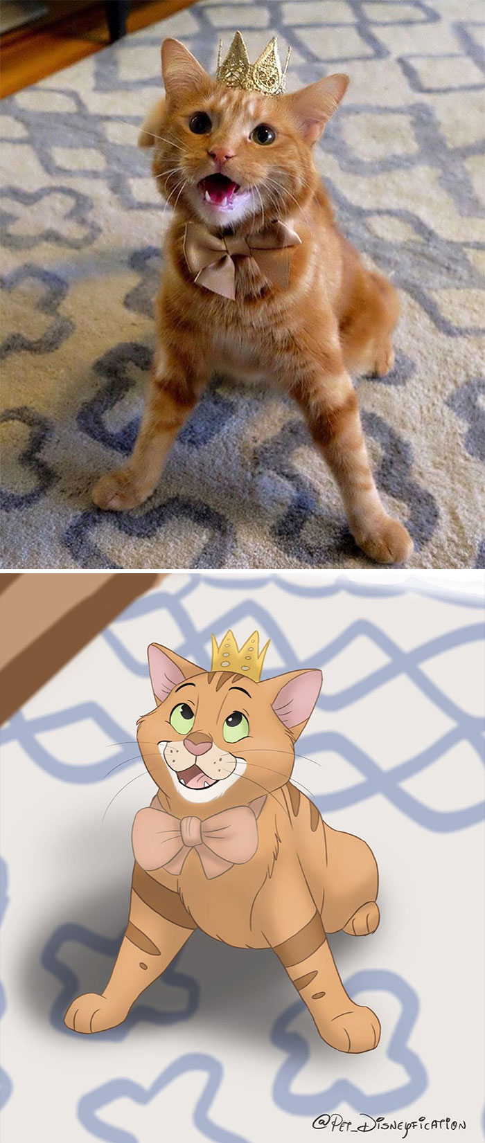Artist-Turns-Pets-Disney-Characters-Pet-Disneyfication