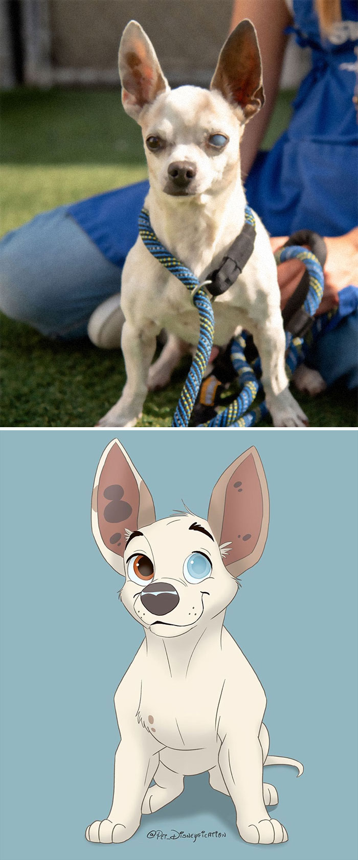 Artist-Turns-Pets-Disney-Characters-Pet-Disneyfication