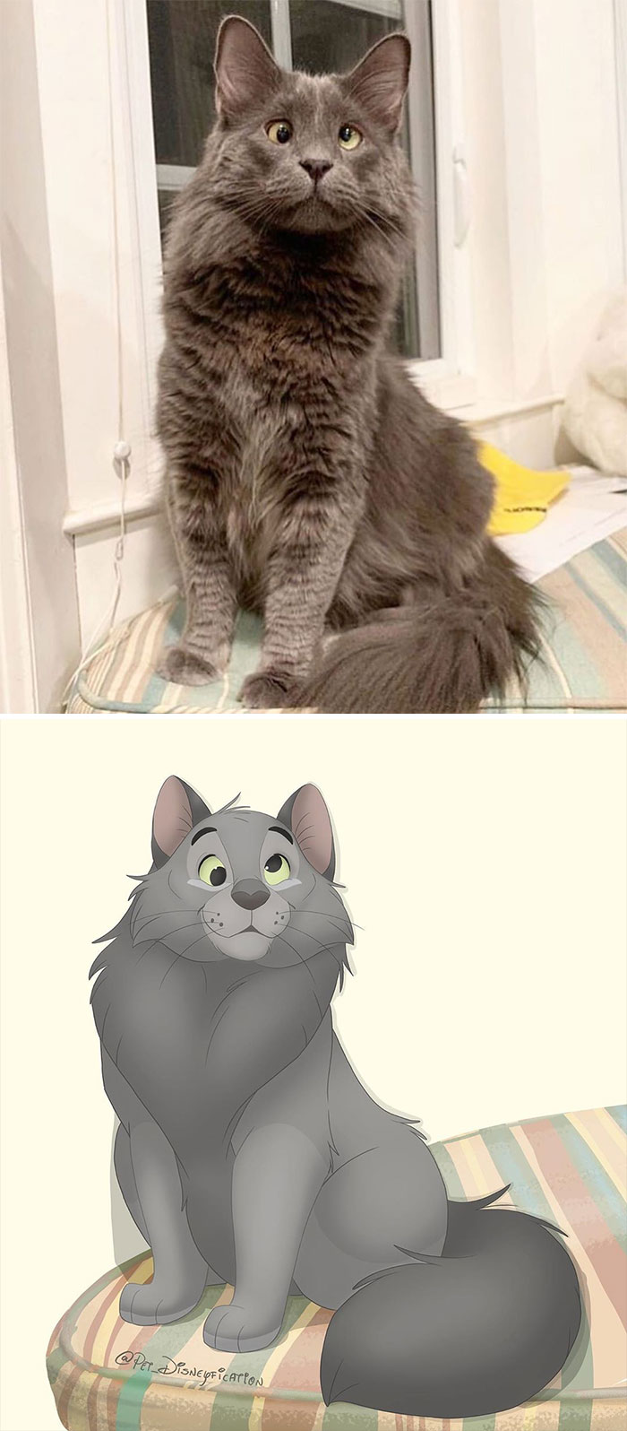 Artist-Turns-Pets-Disney-Characters-Pet-Disneyfication