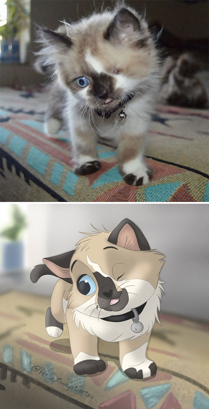 Artist-Turns-Pets-Disney-Characters-Pet-Disneyfication