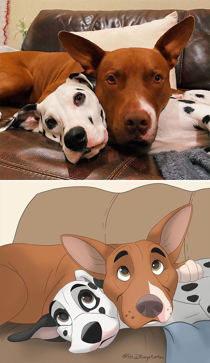 Artist-Turns-Pets-Disney-Characters-Pet-Disneyfication