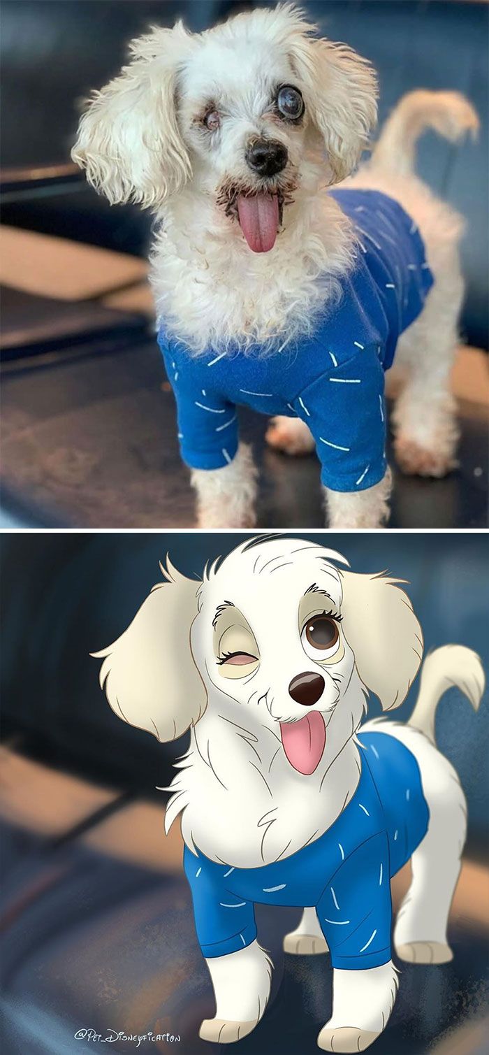 Artist-Turns-Pets-Disney-Characters-Pet-Disneyfication