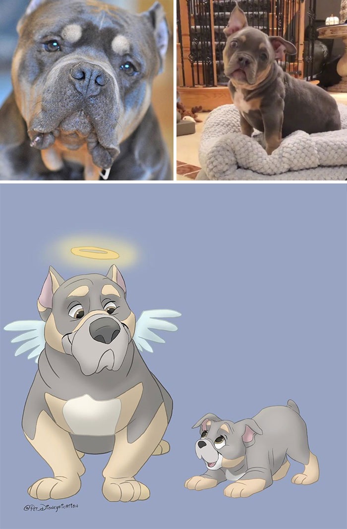 Artist-Turns-Pets-Disney-Characters-Pet-Disneyfication