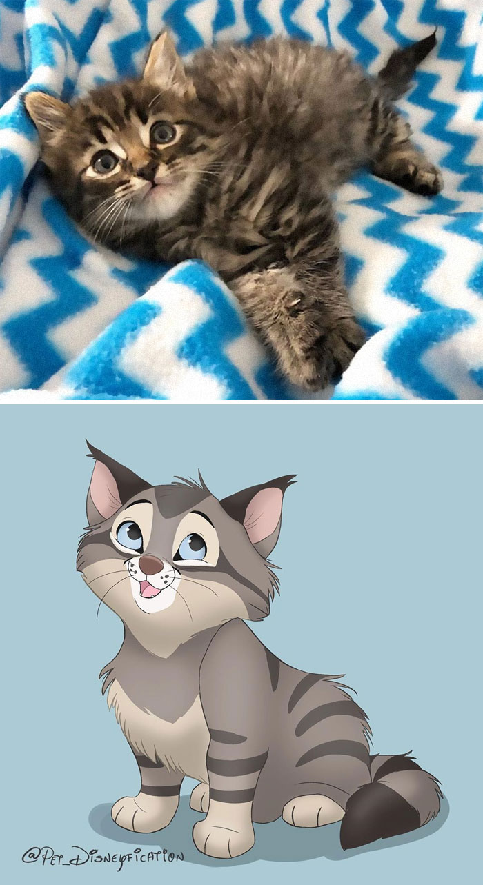 Artist-Turns-Pets-Disney-Characters-Pet-Disneyfication
