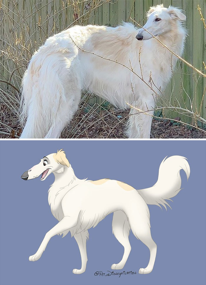 Artist-Turns-Pets-Disney-Characters-Pet-Disneyfication