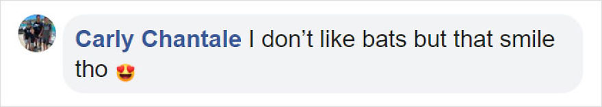 Video Shows Baby Bat Making Adorable Heart-Melting Squeaks While Being Petted Video Shows Baby Bat Making Adorable Heart-Melting Squeaks While Being Petted