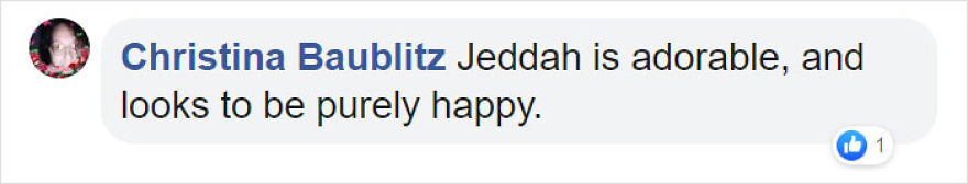 Video Shows Baby Bat Making Adorable Heart-Melting Squeaks While Being Petted