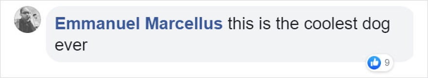 Video Shows Baby Bat Making Adorable Heart-Melting Squeaks While Being Petted