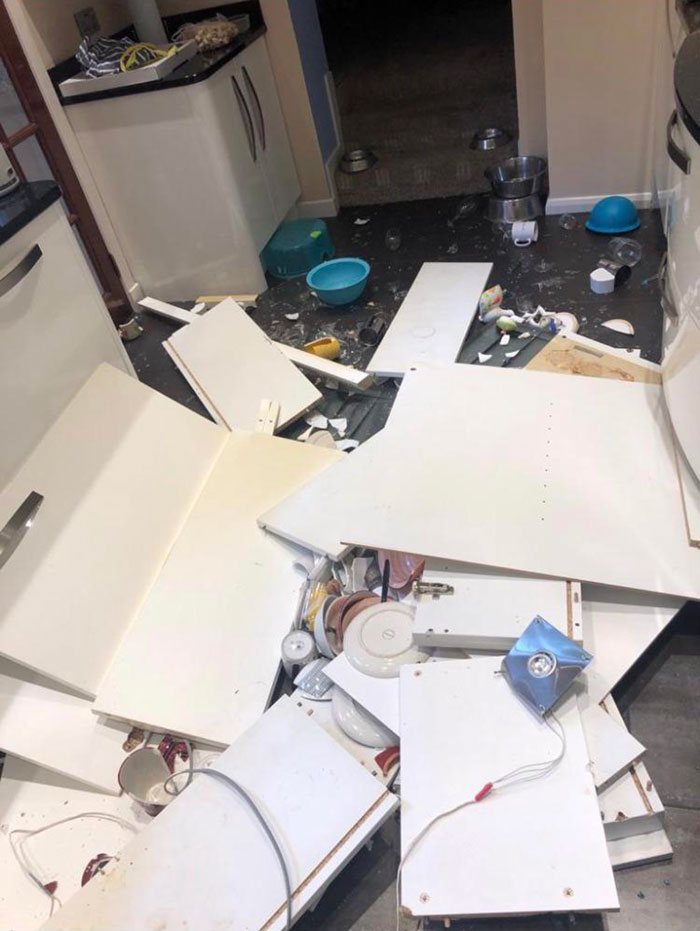 Kitchen Cabinets Decided To Yeet Themselves At 4 In The Morning