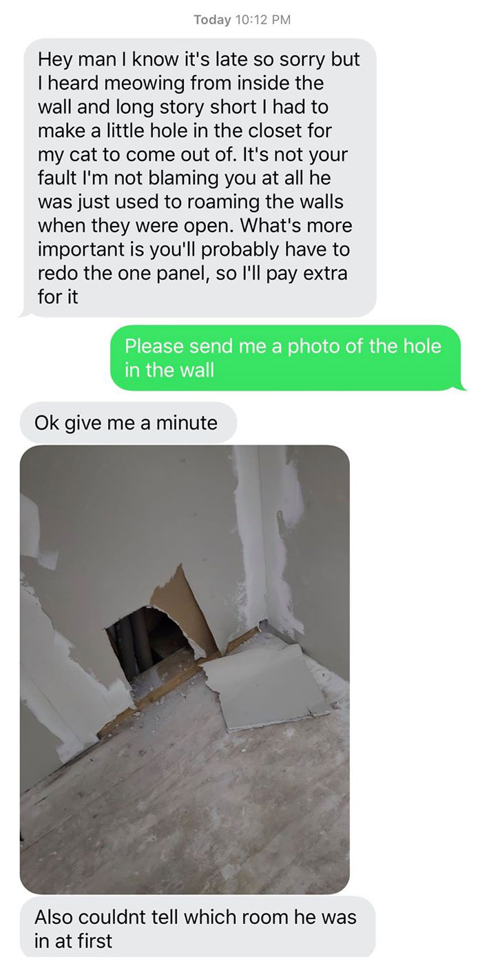 Not An April Fools Joke I 100% Accidentally Full-On Sealed A Cat Into A Wall. I Didn’t Even Know They Had A Cat