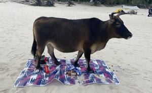 45 Photos Of People Having A Worse Day Than You