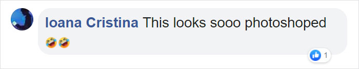 Barcelona Opera House Reopens With A Performance In Front Of A Majestic Crowd Of 2,292 Plants